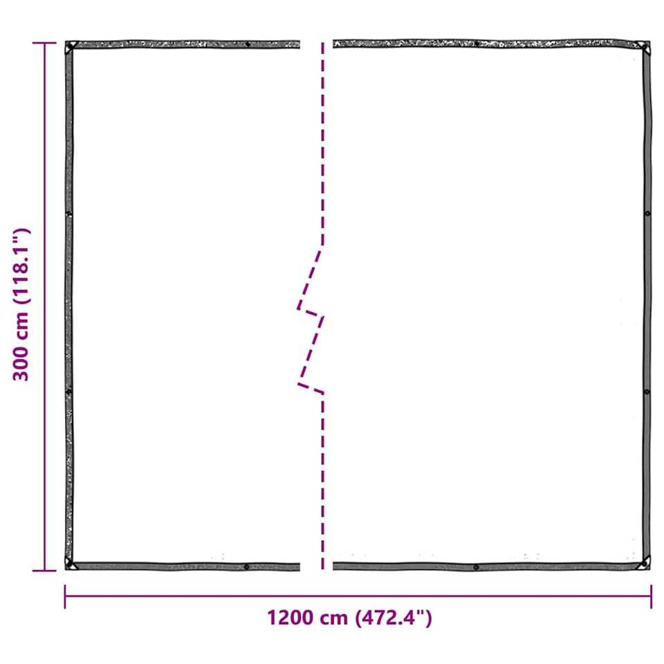 Clear Tarpaulin with Eyelets 3x12 m Polyethylene