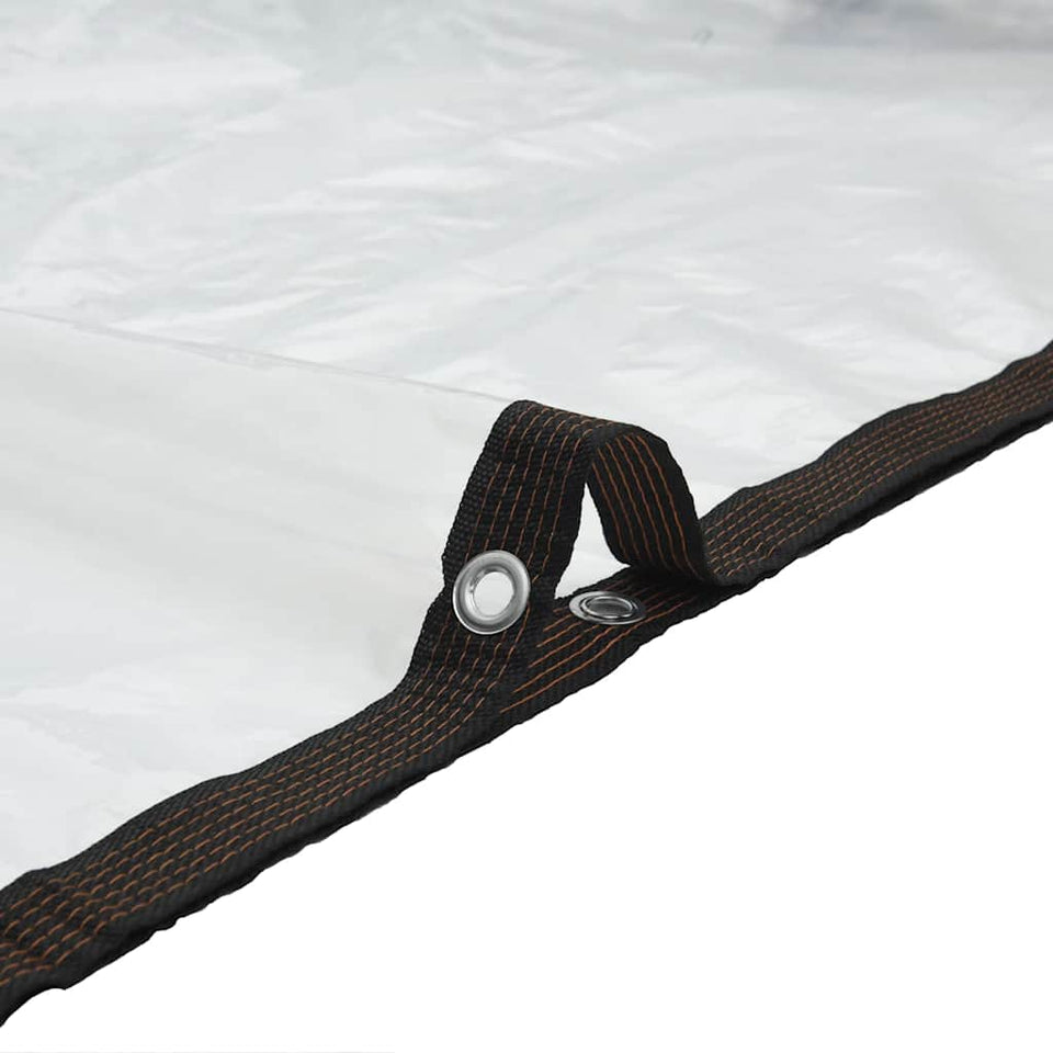 Clear Tarpaulin with Eyelets 4x10 m Polyethylene