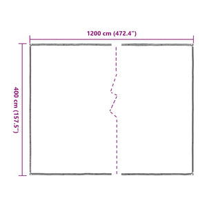 Clear Tarpaulin with Eyelets 4x12 m Polyethylene