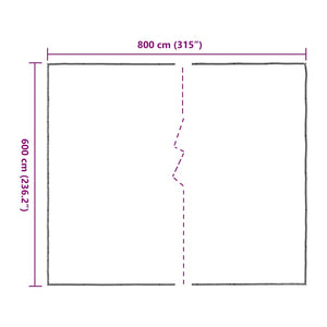 Clear Tarpaulin with Eyelets 6x8 m Polyethylene