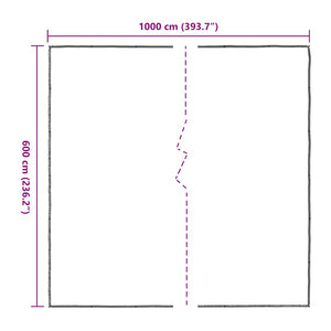 Clear Tarpaulin with Eyelets 6x10 m Polyethylene