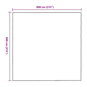 Clear Tarpaulin with Eyelets 8x8 m Polyethylene