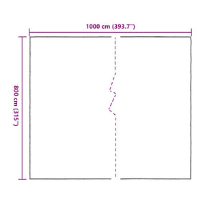 Clear Tarpaulin with Eyelets 8x10 m Polyethylene