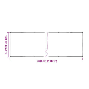 Clear Tarpaulin with Eyelets 1x3 m PVC