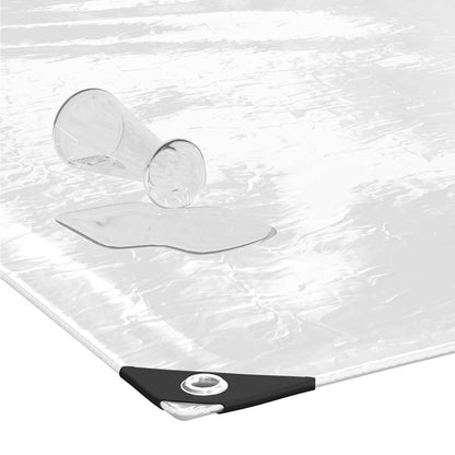 Clear Tarpaulin with Eyelets 1x3 m PVC