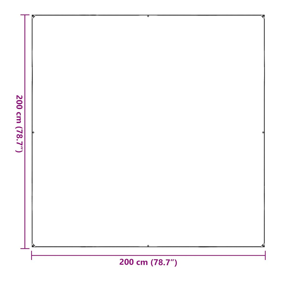 Clear Tarpaulin with Eyelets 2x2 m PVC