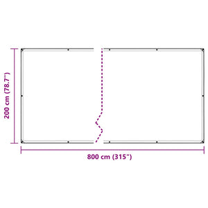 Clear Tarpaulin with Eyelets 2x8 m PVC