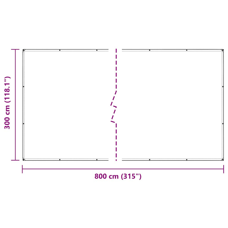 Clear Tarpaulin with Eyelets 3x8 m PVC