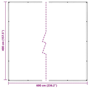 Clear Tarpaulin with Eyelets 4x6 m PVC