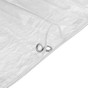 Clear Tarpaulin with Eyelets 4x8 m PVC