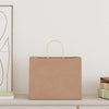 Paper Bags 250 pcs with Handles Brown 32x22x24 cm
