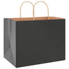 Paper Bags 250 pcs with Handles Black 32x22x24 cm