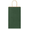 Paper Bags 50 pcs with Handles Green 21x11x36 cm