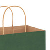 Paper Bags 50 pcs with Handles Green 54x15x49 cm