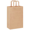 Paper Bags 250 pcs with Handles Brown 21x11x31 cm