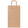 Paper Bags 250 pcs with Handles Brown 21x11x36 cm