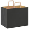 Paper Bags 50 pcs with Handles Black 32x22x24 cm
