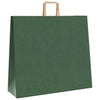 Paper Bags 50 pcs with Handles Green 54x15x49 cm