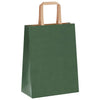 Paper Bags 250 pcs with Handles Green 21x11x28 cm