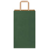 Paper Bags 250 pcs with Handles Green 21x11x36 cm