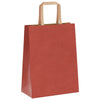 Paper Bags 50 pcs with Handles Red 21x11x28 cm
