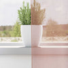 Voile Curtains with Grommets 2 pcs Pink 140x300 cm