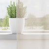 Voile Curtains with Tab Top 2 pcs Cream