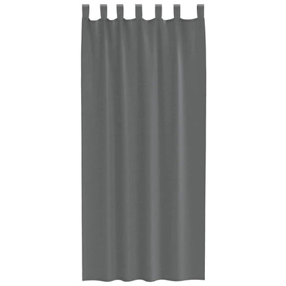 Voile Curtains with Loops 2 pcs Dark Grey 140x225 cm