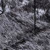 Shaggy Rug High Pile NAVARRA Dark Grey 130x200 cm Polyester