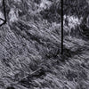 Shaggy Rug High Pile NAVARRA Dark Grey 160x230 cm Polyester