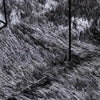 Shaggy Rug High Pile NAVARRA Dark Grey 200x290 cm Polyester