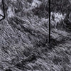 Shaggy Rug High Pile NAVARRA Dark Grey 240x340 cm Polyester