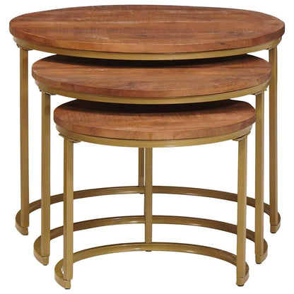 Nesting Coffee Tables 3 pcs Honey Brown 60 x 60 x 45 cm