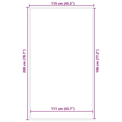 Doormat Anthracite 115x200 cm