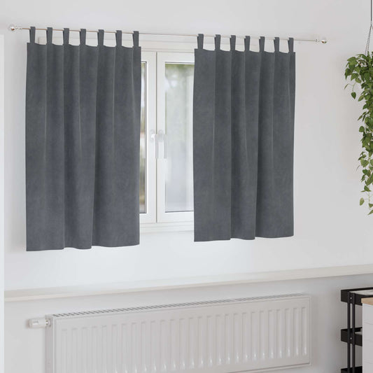 Curtains 2 pcs Light Grey 140 x 140 cm Velvet