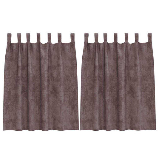 Velvet Curtains 2 pcs Brown 140 x 140 cm Velvet