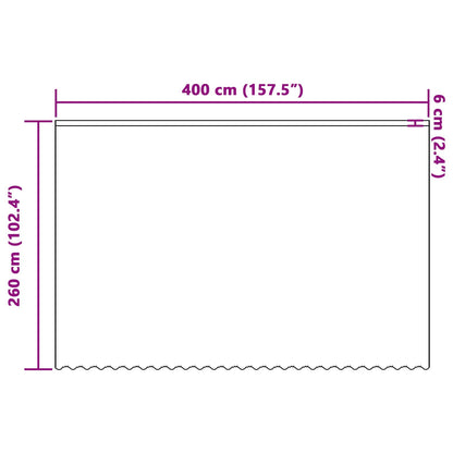 Lace Curtain with Curtains Floral White 260 x 400 cm Polyester