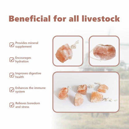 Salt Lick Stones Pink Rock Salt