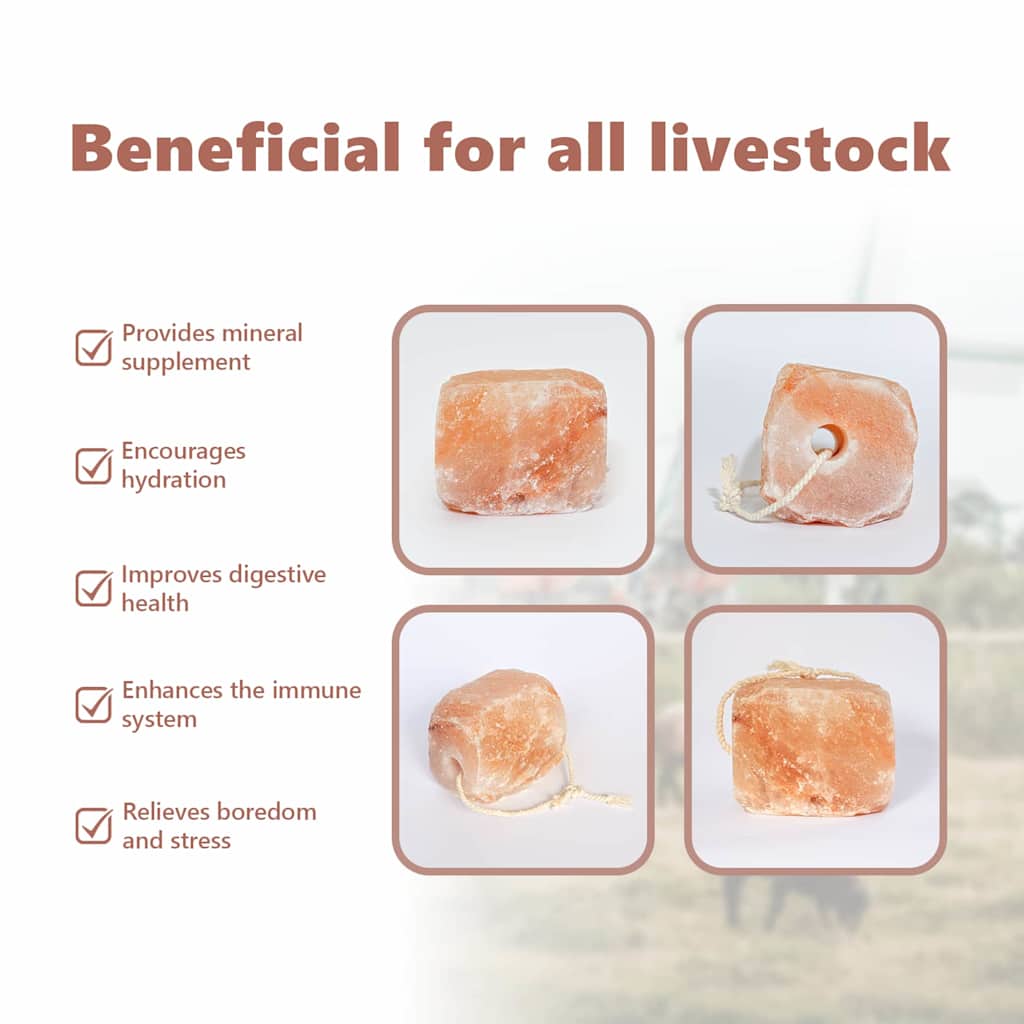 Salt Lick Stones Pink Rock Salt