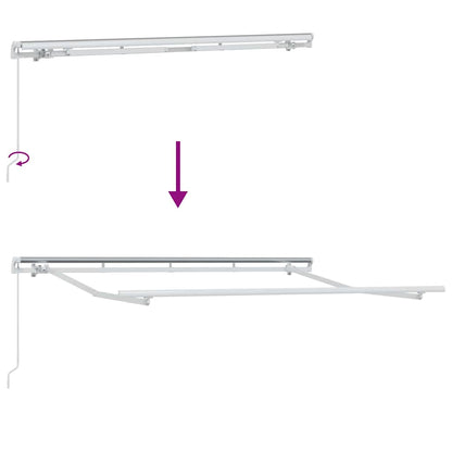 Retractable Awning Anthracite 300 x 200 cm Fabric