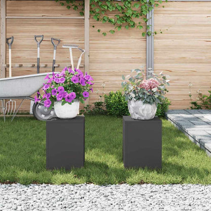 Plant Stand 2 pcs Black 24 x 24 x 35 cm Cold-rolled Steel