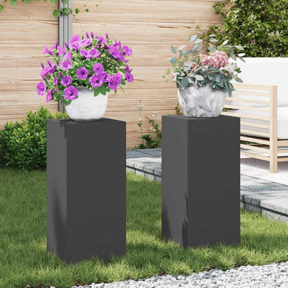 Plant Stand 2 pcs Black 24 x 24 x 55 cm Cold-rolled Steel