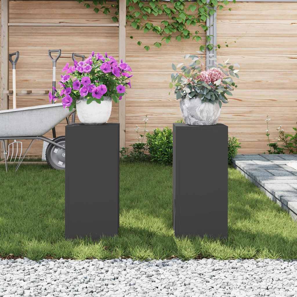 Plant Stand 2 pcs Black 24 x 24 x 55 cm Cold-rolled Steel