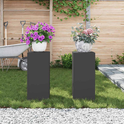 Plant Stand 2 pcs Black 24 x 24 x 55 cm Cold-rolled Steel