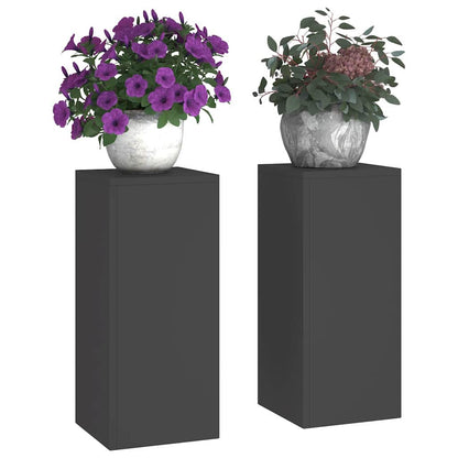 Plant Stand 2 pcs Black 24 x 24 x 55 cm Cold-rolled Steel