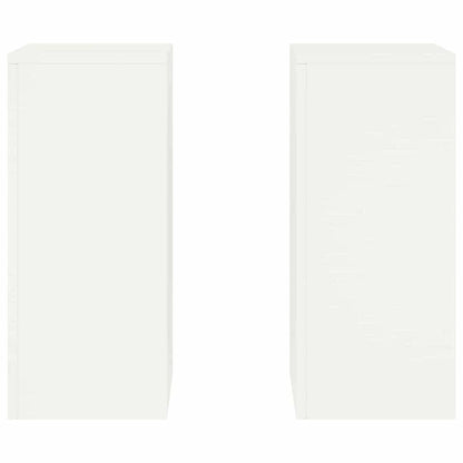 Plant Stand 2 pcs White 24 x 24 x 55 cm Cold-rolled Steel