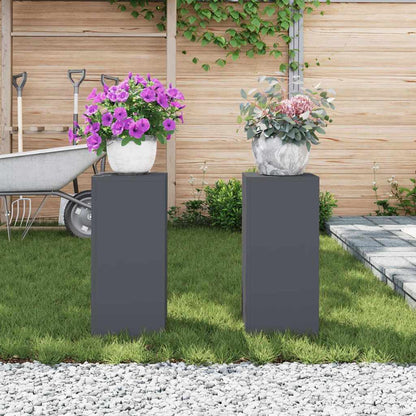 Plant Stand 2 pcs Anthracite 24 x 24 x 55 cm Cold-rolled Steel