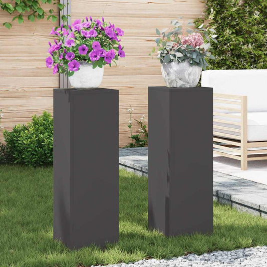 Plant Stand 2 pcs Black 24 x 24 x 75 cm Cold-rolled Steel