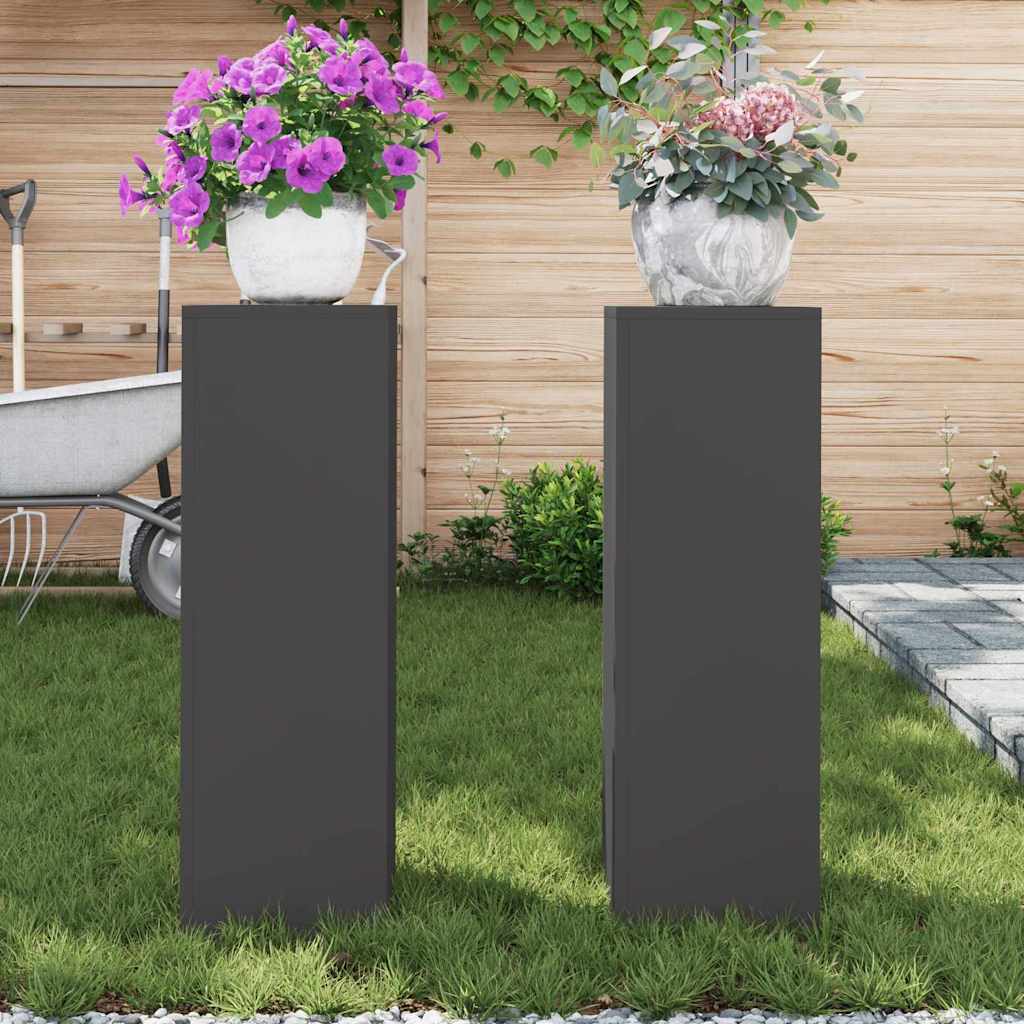 Plant Stand 2 pcs Black 24 x 24 x 75 cm Cold-rolled Steel