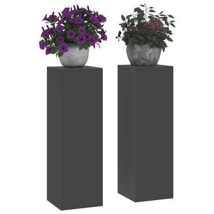 Plant Stand 2 pcs Black 24 x 24 x 75 cm Cold-rolled Steel